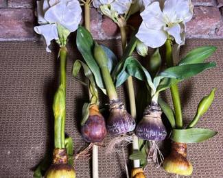 109 fauxamaryllisbulbswithwhitebloomsa