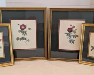 Floral Botanical Prints