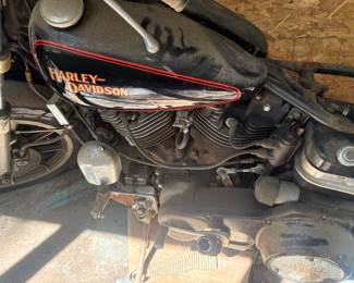 SHOVEL HEAD LOST TITLE