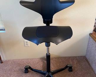 HÅG Ergonomic Black Office Chair