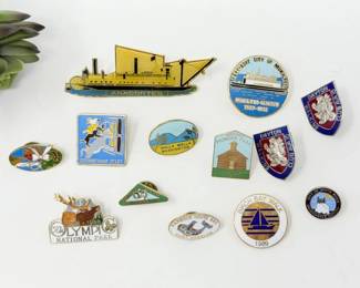 138 VintageEnamelTravelSouvenirLapelPinCollection