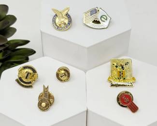 160 VintageEnamelFraternalServiceLapelPinCollection