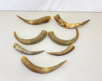 Lot of 7 (3 Sets+) Animal Horns 