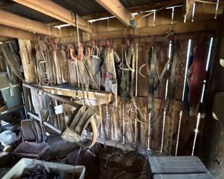 LARGE LOT OF SADDLES & TACK