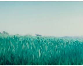 2177 Ralf Kaspers (b. 1957) Untitled, grassy landscape, 2002 C-print in colors on paper face mounted to acrylic, as issued Edition: 3/7 Signed in ink in the lower right of the image: Ralf Kaspers; signed again, dated "20/03/2002," numbered, and inscribed "Düsseldorf," in ink, all on the artist's label affixed verso; titled by repute 27 x 118 1/4 in. Estimate: $1,500 - $2,500