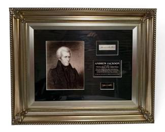 Andrew Jackson Authentic Hair Strands in Commemorative Frame w COA