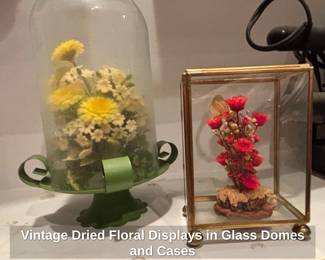 Vintage Dried Floral Displays in Glass Domes and Cases