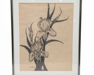 Original Charcoal Drawing of Irises