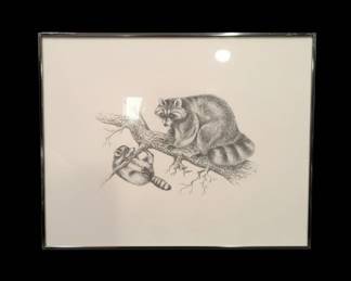 Raccoon and Kit Graphite Drawing by Bob Letellier