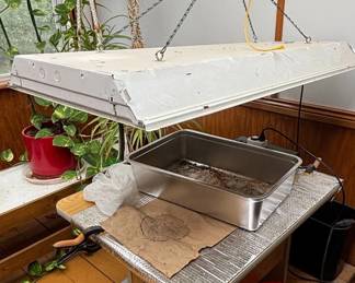 DIY Fluorescent Grow Light Setup with Stainless Steel Tray