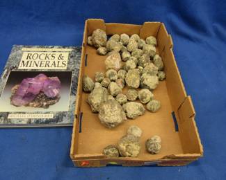 Lot 179. Geologic specimens likely rounded mineral nodules, geodes, or secretions plus a book. Please see Auctioneer's Notes at the start of this auction.