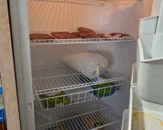 Inside Freezer