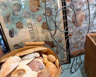 Coastal decor, shells