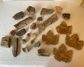 Collection of Petrified Wood Cork Coasters