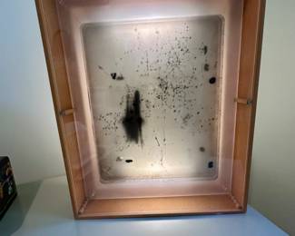 Kamila Szczesna Light Box Art