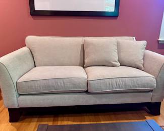 Contemporary Sofa with 50% Duck/Down