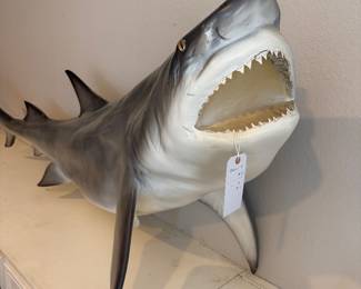 Shark