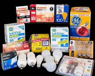 Electric Bulb Mystery Lot