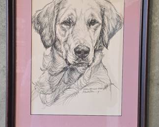 J. Marlo Allen Signed Golden Retriever Ink Drawing
