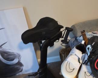 Peloton Original Indoor Cycling Bike (Model PL01)