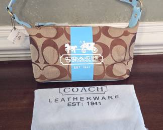 Coach Signature Stripe Demi Pouch with Light Blue Stripe
