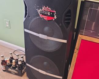 Edison Professional M-6000MKII PA Speaker