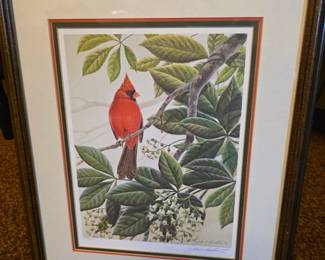 limited edition signed print titled "Early Bird, Cardinal" by the American wildlife artist John A. Ruthven