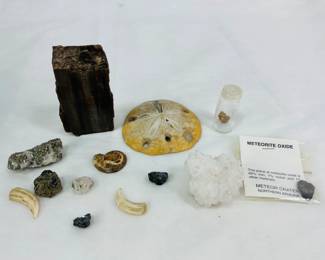 Minerals & Fossils