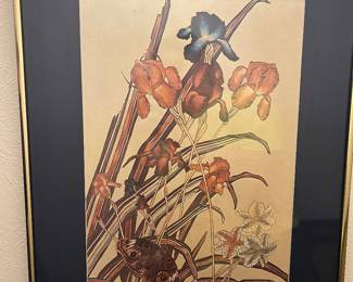 Earth tones framed vintage art: bearded irises & sphinx moth