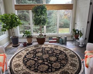 Area Rugs,  Silk Trees 