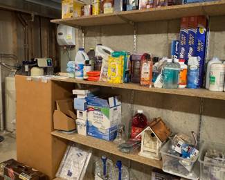 assorted household and personal cleaning items 