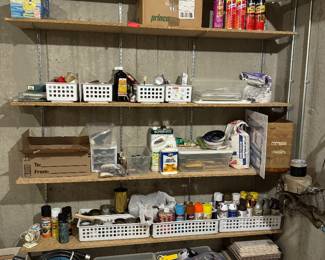 Assorted Household Chemicals and Lights 