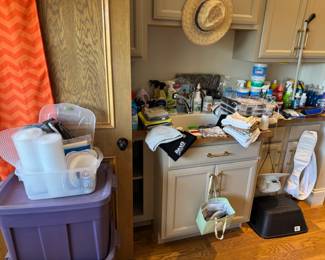 Tons of organizing items, cleaning suppplies, cabinet risers, etc, Arts and crafts, etc.