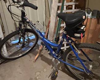 Ladies bike
