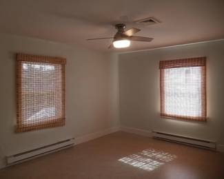 Lighted ceiling fan; blinds