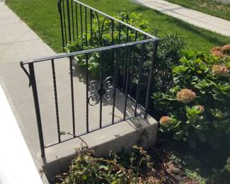 Wrought iron railing; roses