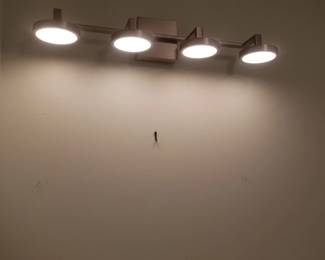Vanity lights