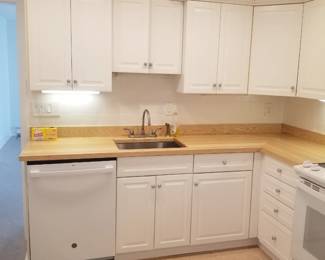 Kitchen cabinetry - 2 identical kitchens!