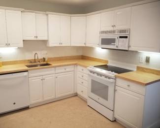 Updated kitchen cabinetry - plenty of upper & lower cabinets