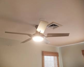 Lighted ceiling fan