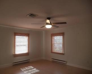 Lighted ceiling fans; blinds