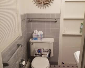 Toilet; towel bars; mirror