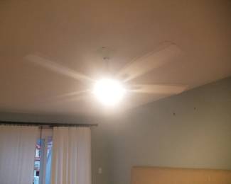 MinkaAire ceiling fan/light