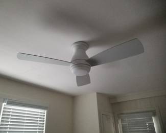 MinkaAire ceiling fan/light