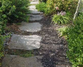 Slate steppers; plants