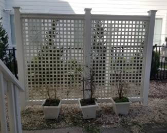 Trellis