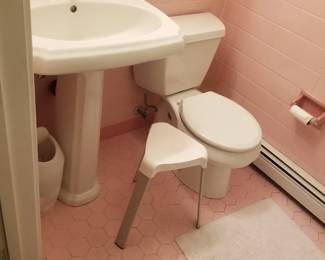 Pedestal sink; toilet