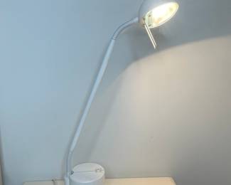Halogen Desk Lamp