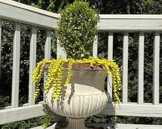 Cast Stone Urn Planter