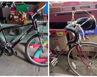 10 speed bike & mountain bike